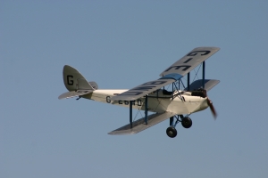 De Havilland Hermes Moth aviation art