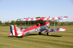 Tiger Moth aviation art