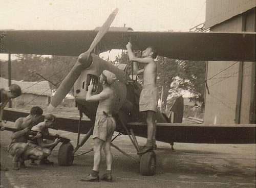 de havilland dh82a tiger moth