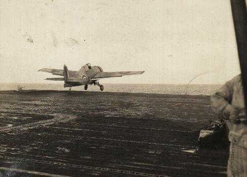 grumman fm-2 f4f wildcat martlet royal navy