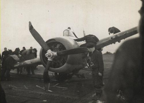 grumman fm-2 f4f wildcat martlet